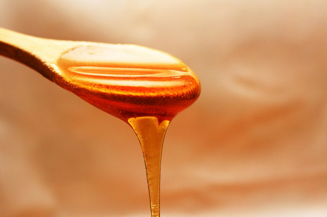 Madu: Kecil, Manis, tapi Kaya Manfaat