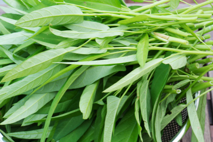 Manfaat Kangkung bagi Kesehatan, dari Pencernaan hingga Daya Tahan Tubuh