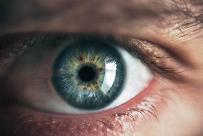 Ketika Kacamata Tak Lagi Cukup: Mengenal Low Vision Lebih Dekat