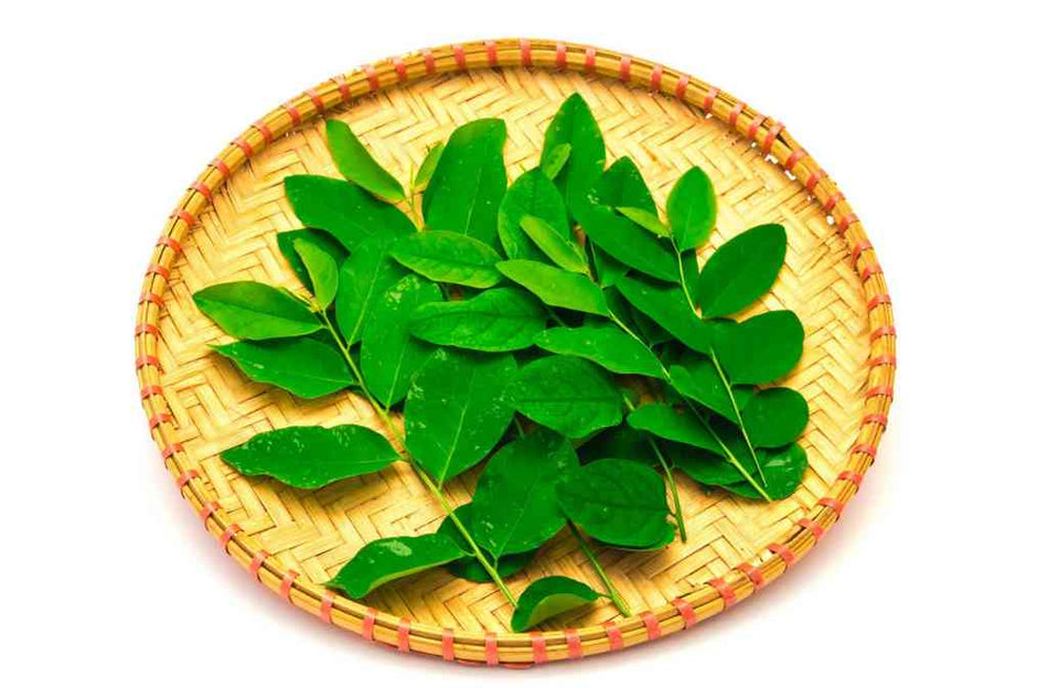 Manfaat Daun Katuk bagi Kesehatan: Keajaiban dari Alam untuk Kesejahte ...