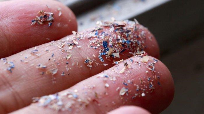 Bahaya Mikroplastik dalam Tubuh Manusia: Haruskah Khawatir?