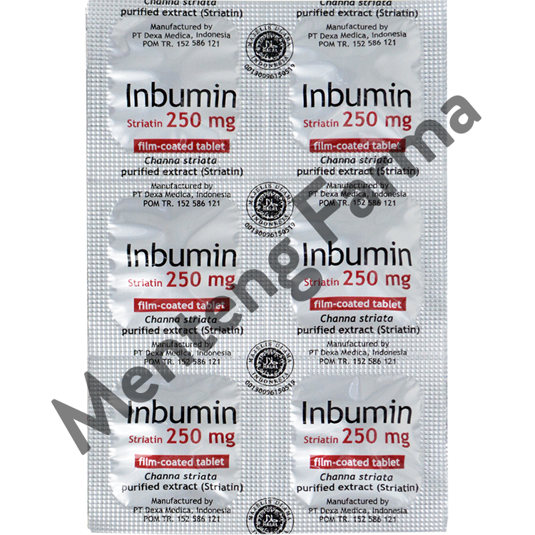 Inbumin 6 Tablet - Suplemen Kesehatan - Menteng Farma