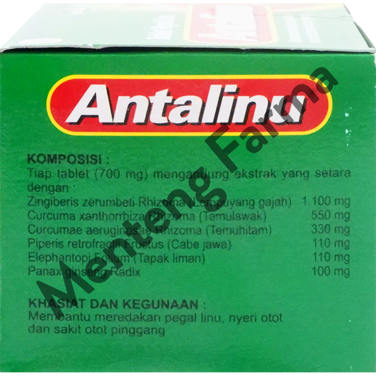 Antalinu 2 Tablet - Meredakan Pegal Linu & Nyeri Otot