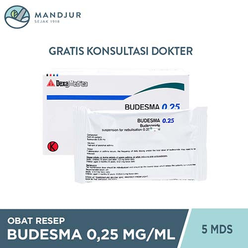 Budesma 0.25 mg/ml 5 Containers Monodose