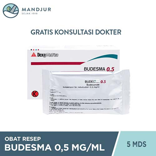 Budesma 0.5 mg/ml 5 Containers Monodose