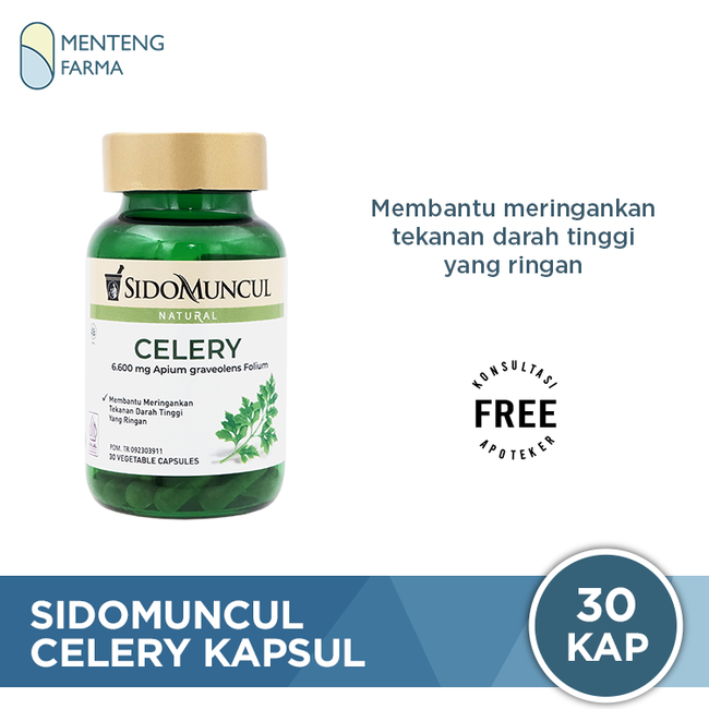 Sido Muncul Celery 30 Kapsul - Herbal Ekstrak Daun Seledri