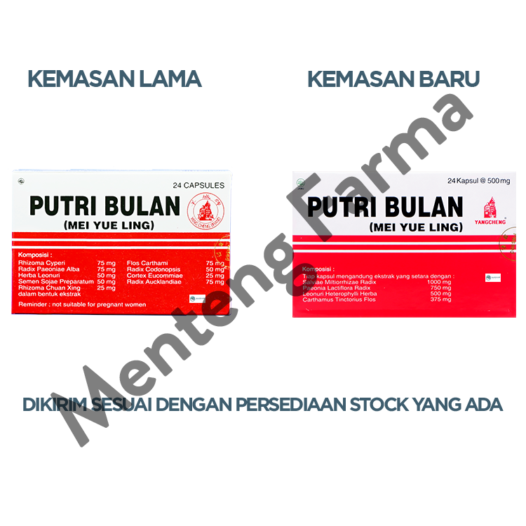 Putri Bulan