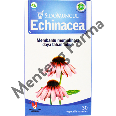 Sido Muncul Echinacea 30 Kapsul - Menjaga Imunitas Tubuh dari ISPA - Menteng Farma