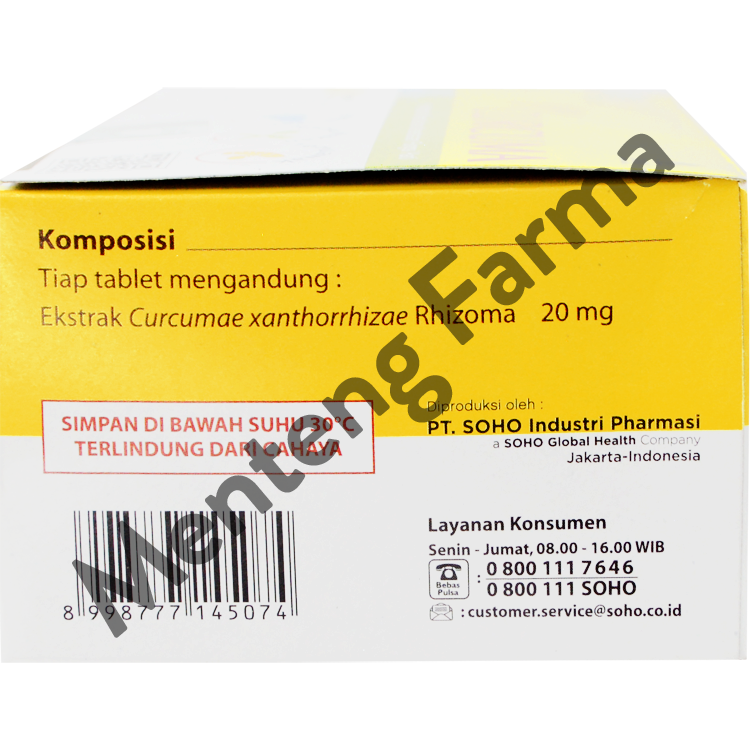 Curcuma 20 Mg 10 Tablet - Suplemen Kesehatan Hati dan Nafsu Makan - Menteng Farma