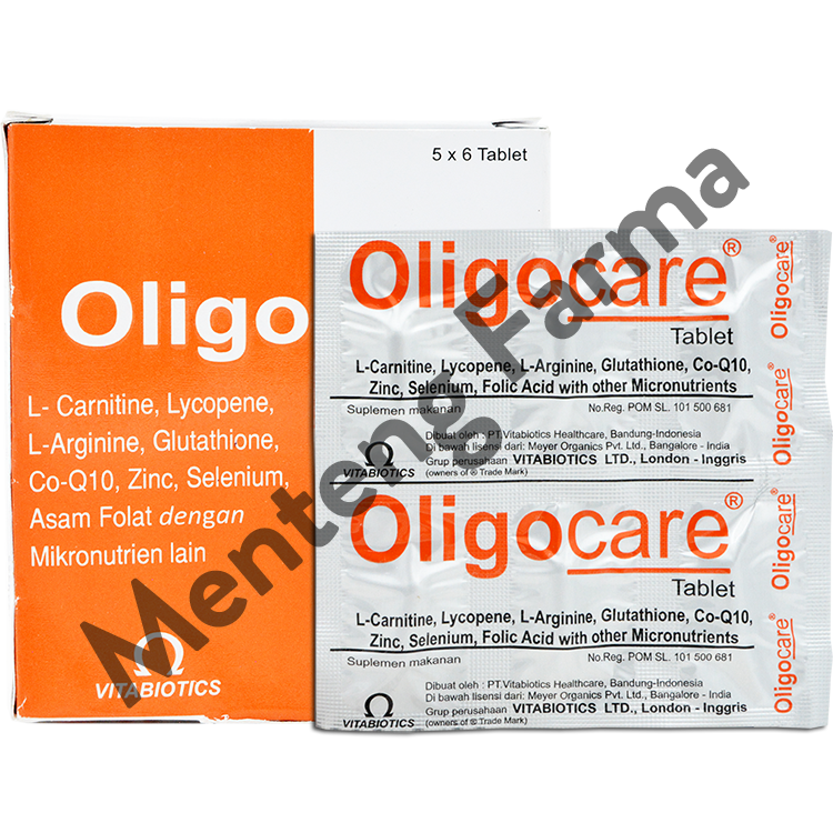 l-carnitine untuk kesuburan CAR-Q 100 Nobi Nutrition L-Carnitine Fat Burner