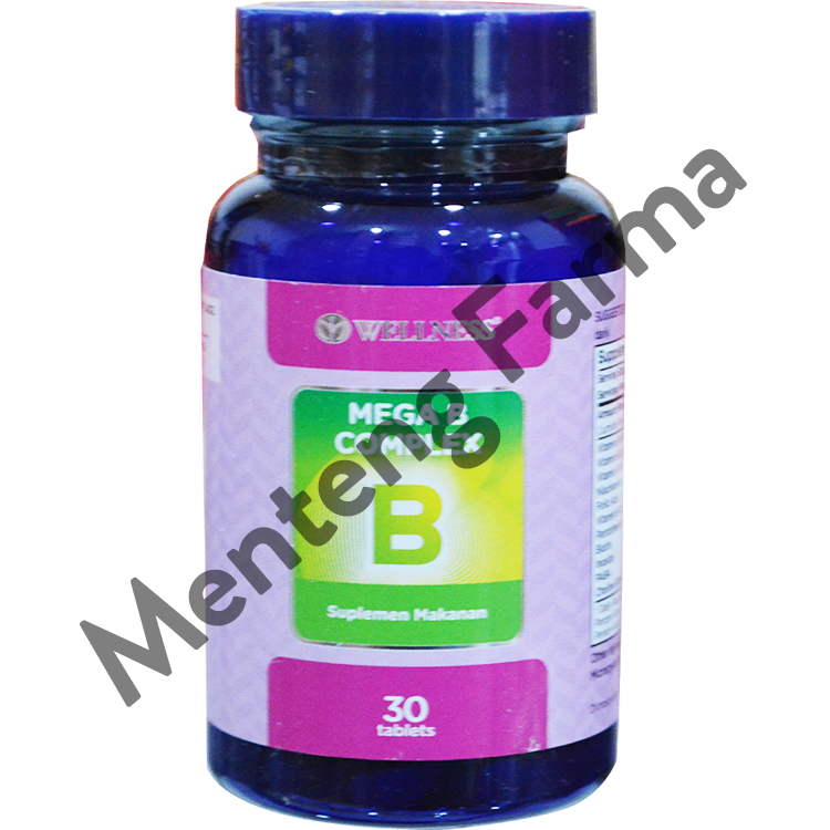 Wellness Mega B Complex Isi 30 Tablet - Vitamin Anti Stress dan Saraf ...