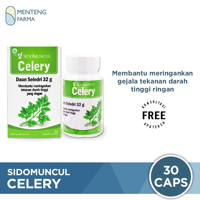 Sido Muncul Celery 30 Kapsul - Herbal Ekstrak Daun Seledri - Menteng Farma
